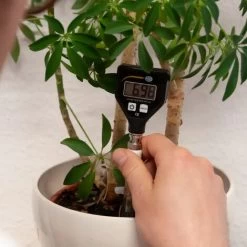 Wasseranalysegerät PCE-PH 18 Erdreich PH-Meter / Für Erdreich, Schlamm Und Dickflüssige Flüssigkeiten / Einfache Bedienung / BNC-Anschluss Für Alternative Sonden -Werkzeug Garten Verkauf 24987233 4