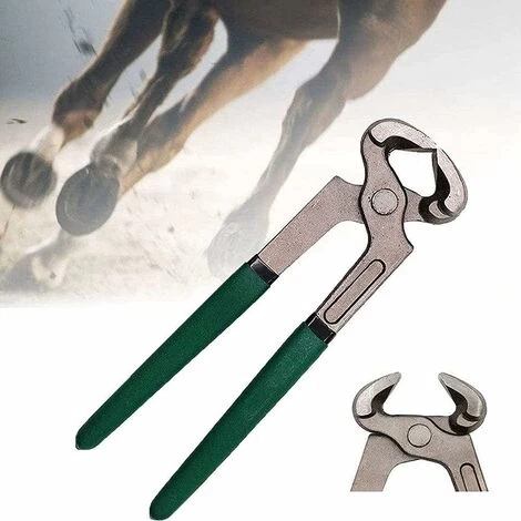 Generic Professional Horse Huf Care Trimmer, Vielseitiger Hufschneider Für Schweine, Schafe, Schweine, Rinder, Mit Gummigriff, Langlebig Und Praktisch 3 Generic Professional Horse Huf Care Trimmer, Vielseitiger Hufschneider Für Schweine, Schafe, Schweine, Rinder, Mit Gummigriff, Langlebig Und Praktisch
